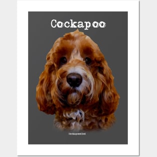 Red Cockapoo / Spoodle Dog Posters and Art